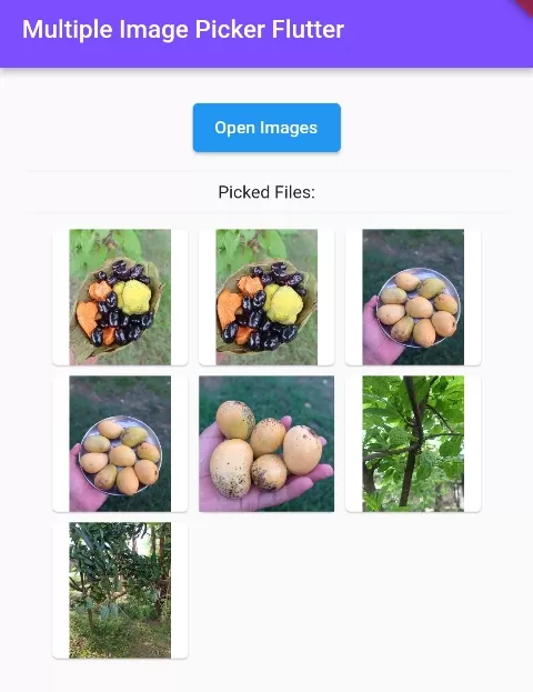How to Make Multiple Image Picker in Flutter App